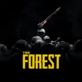 Обложка The Forest