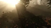 Кадр 2 — The Forest