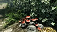 Кадр 5 — The Elder Scrolls V: Skyrim Special Edition