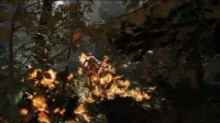 Кадр 5 — The Forest