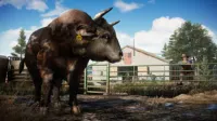 Кадр 4 — Far Cry 5 Gold Edition (Все DLC)