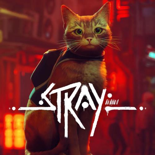 Купить Stray П3 навсегда для PS4 и PS5