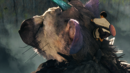 Аренда и прокат The Last Guardian для PS4 и PS5