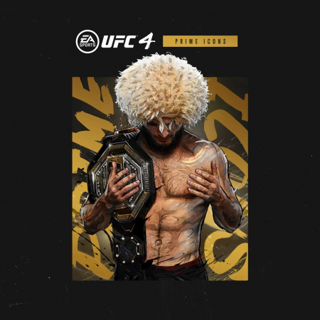 Аренда и прокат UFC 4 для PS4 и PS5