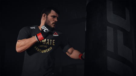 Аренда и прокат UFC 3 (П3) (П3) для PS4 и PS5