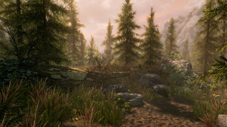 Аренда и прокат Fallout 4 + Skyrim (Все DLC) для PS4 и PS5