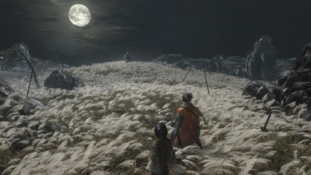 Аренда и прокат Sekiro: Shadows Die Twice для PS4 и PS5