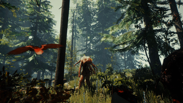 Аренда и прокат The Forest для PS4 и PS5